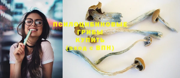 бошки Алексеевка